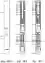 Fig. 44 - High expansion anchoring system