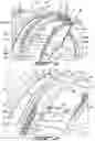 Fig. 03 - Turbine casing for gas turbine engine