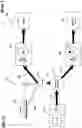 Fig. 24 - Pump/motor with integrated variator for use in hydraulic systems