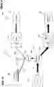 Fig. 25 - Pump/motor with integrated variator for use in hydraulic systems