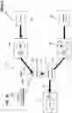 Fig. 27 - Pump/motor with integrated variator for use in hydraulic systems