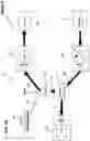 Fig. 30 - Pump/motor with integrated variator for use in hydraulic systems