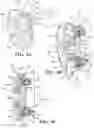 Fig. 09 - WHEEL AND BRAKE ASSEMBLIES