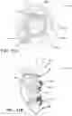 Fig. 14 - WHEEL AND BRAKE ASSEMBLIES