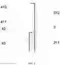 Fig. 05 - LED bulb without driving power supply