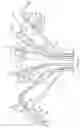 Fig. 06 - Cylindrical burner apparatus and method