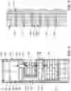 Fig. 05 - MODULAR OUTDOOR FIREPLACE AND BRICK OVEN