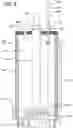 Fig. 10 - Hydraulically opened cone vertical tube diffuser with slanted anti-siphon hole