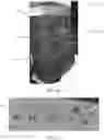 Fig. 14 - FLEXIBLE VAULT BALLISTIC PANEL AND BALLISTIC PANEL ACCESSORIES