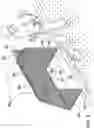 Fig. 05 - Projectile Trapping Device