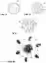 Fig. 03 - CARTRIDGE WITH COMBINED EFFECTS PROJECTILE