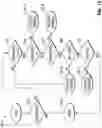 Fig. 17 - Vision guidance systems and methods for aircraft