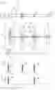 Fig. 04 - Magnetostrictive displacement sensor