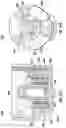 Fig. 55 - Apparatuses, systems, and methods for sample capture and extraction