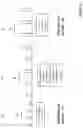 Fig. 04 - METHOD AND SYSTEMS FOR CHARACTERIZING AND ENCODING A LIGHT DETECTION SYSTEM