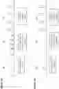Fig. 06 - METHOD AND SYSTEMS FOR CHARACTERIZING AND ENCODING A LIGHT DETECTION SYSTEM