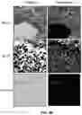 Fig. 15 - SYSTEMS AND METHODS FOR ASSESSING SPECIMEN FIXATION DURATION AND QUALITY USING VIBRATIONAL SPECTROSCOPY