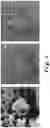 Fig. 05 - Method for the detection and quantification of nano or micro plastic particles