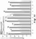 Fig. 11 - Method for the detection and quantification of nano or micro plastic particles