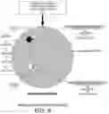 Fig. 08 - Region prober optical inspector