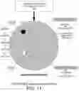 Fig. 10 - Region prober optical inspector