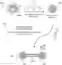 Fig. 01 - SINGLE MOLECULE NANOPARTICLE NANOWIRE FOR MOLECULAR ELECTRONIC SENSING