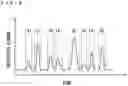 Fig. 05 - Preparative chromatograph system