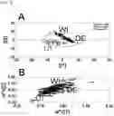 Fig. 02 - METHOD FOR ANALYZING DIFFERENTIATION OF METABOLITES IN URINE SAMPLE BETWEEN DIFFERENT GROUPS