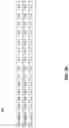 Fig. 08 - Reformatting scan patterns in presence of hold type pipelines