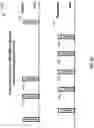 Fig. 51 - Announcing UWB / NBA-UWB-MMS ranging rounds via narrowband-based advertisements