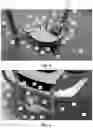 Fig. 02 - Sensor calibration set-up tool with angular offset functionality