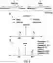 Fig. 06 - Systems and methods for range-rate dealiasing using position consistency