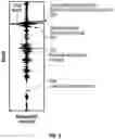 Fig. 06 - Method for characterizing azimuthal anisotropy using cross-dipole sonic data