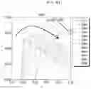 Fig. 11 - Light source, and back light unit and liquid crystal display including the light source