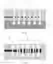 Fig. 10 - Grating couplers integrated with one or more airgaps