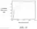 Fig. 08 - Wideband grating coupler
