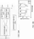Fig. 12 - Wavelength division multiplexing filter for multiplexing or demultiplexing using cascaded frequency shaping
