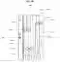 Fig. 10 - Camera lens assembly having linear guide