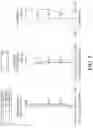 Fig. 07 - Image capturing optical system, image capturing unit and electronic device