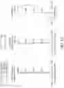 Fig. 17 - Image capturing optical system, image capturing unit and electronic device