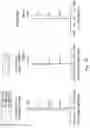 Fig. 17 - Photographing optical lens assembly, image capturing device and electronic device
