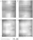 Fig. 98 - Eyepieces for augmented reality display system