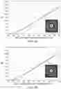 Fig. 14 - Polarization-adjusted and shape-adjusted beam operation for materials processing