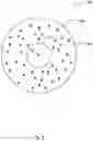 Fig. 04 - Ophthalmic lens including a peripheral zone having an add-power offset and a spatially-modulated optical parameter