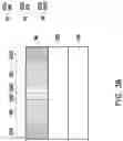 Fig. 05 - Optical modulator and package