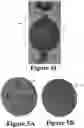 Fig. 12 - MOBILE SMART DEVICE CASE WITH ACCESSORY INTERFACE