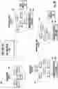 Fig. 04 - Systems and Methods for Dynamic Data Buffering for Autonomous Vehicle Remote Assistance