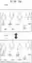 Fig. 22 - Autonomous work machine, control device, autonomous work machine control method, control device operation method, and storage medium
