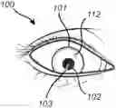 Fig. 01 - Gaze tracking using mapping of pupil center position