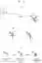 Fig. 12 - Head mounted display apparatus